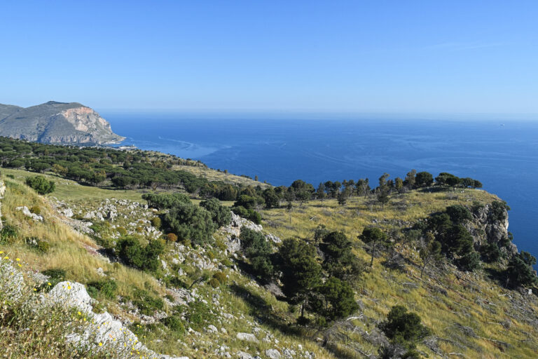 View_from_Monte_Pellegrino