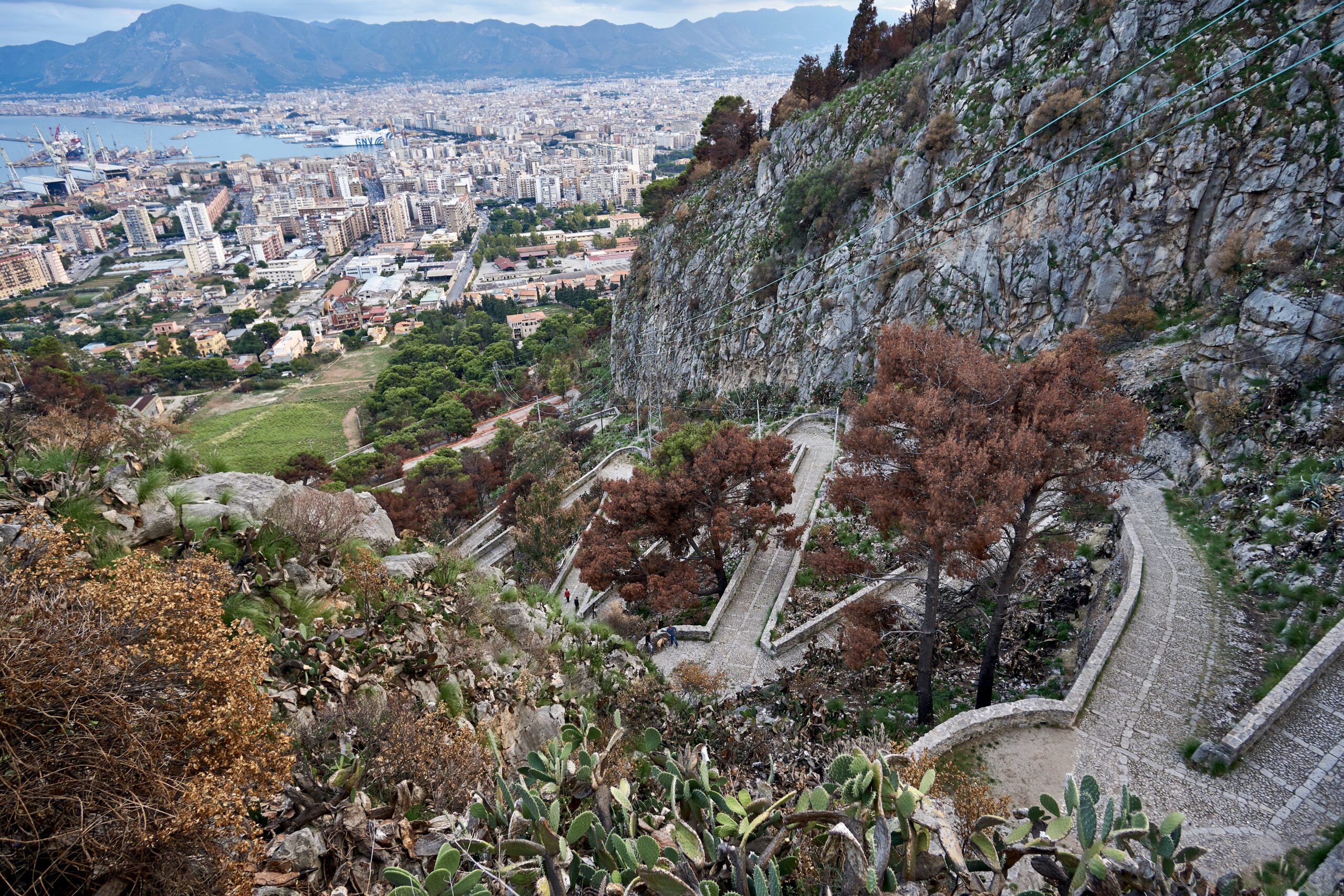 Palermo_View_from_Monte_Pellegrino